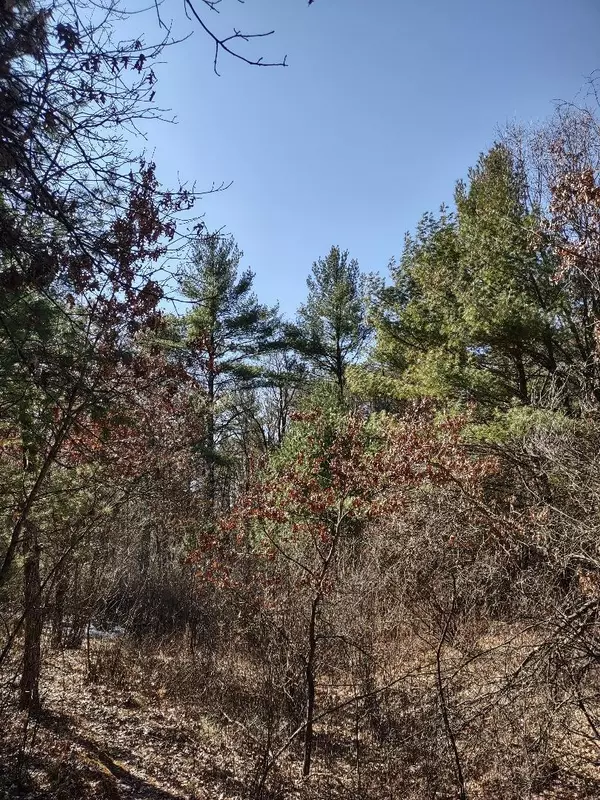 Black River Falls, WI 54615,Lots 18 & 19 Whitetail CT