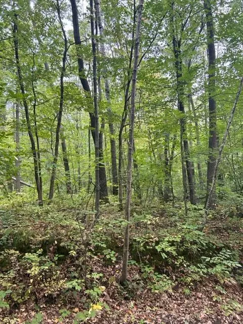 Cushing Twp, MN 56443,xxx Lost Lake Pass