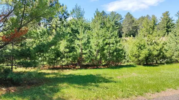 Greenwood Twp, MN 55790,88034 Sweet Fern Loop