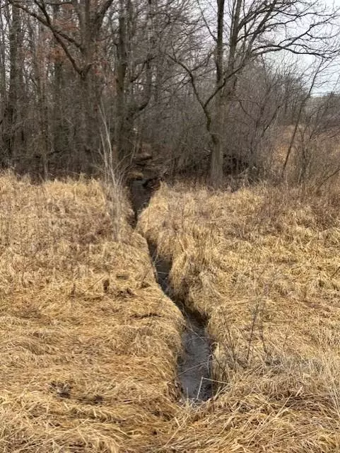 Chisago Lake Twp, MN 55012,160xx Furuby RD