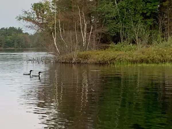 Bass Lake Twp, WI 54843,XXX Tanager TRL