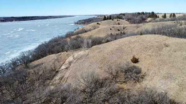 Beardsley, MN 56211,TBD 300th St