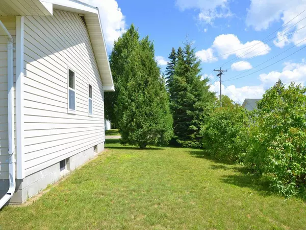 Nevis, MN 56467,107 Pleasant ST E