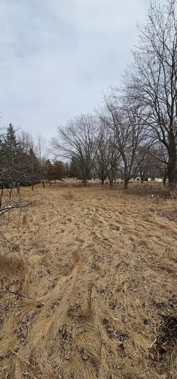 Holding Twp, MN 56310,19302 Two Rivers RD