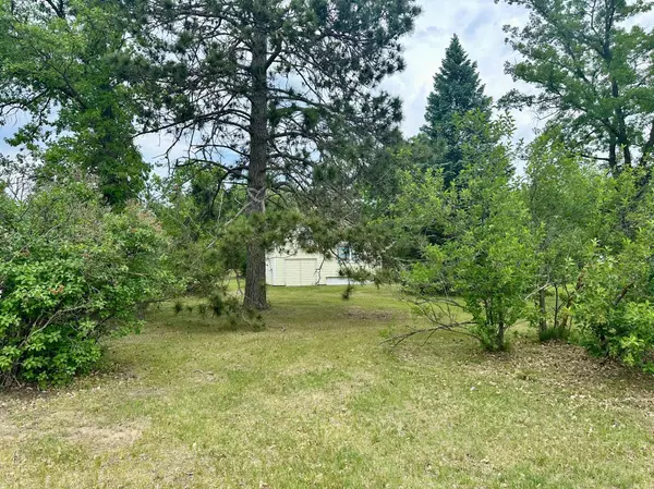 Menahga, MN 56464,329 Main ST NW