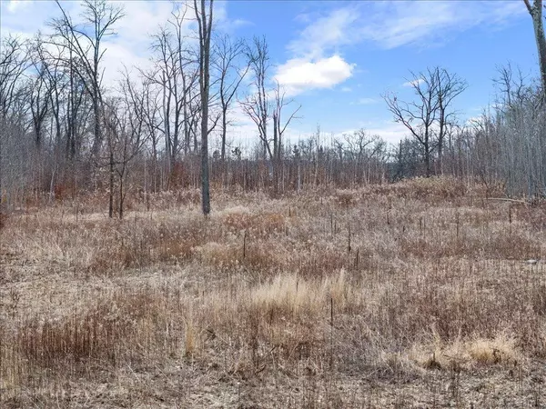 Fairview Twp, MN 56468,XXX Gull Lane SW