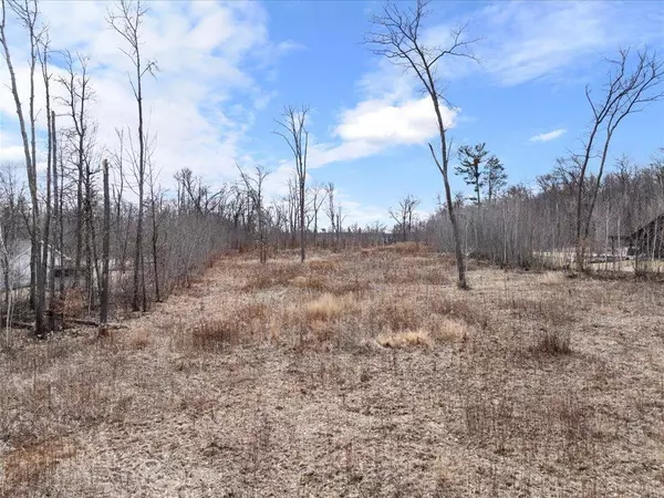 Fairview Twp, MN 56468,XXX Gull Lane SW