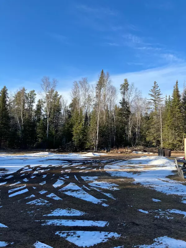 Deer River, MN 56636,46023 State Highway 6