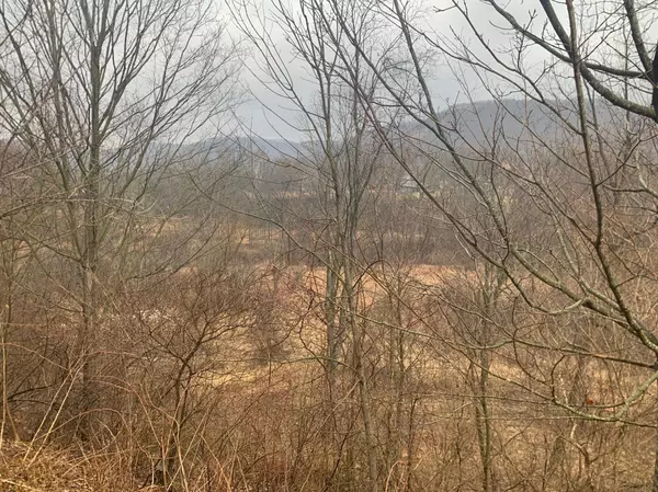 Wilson Twp, MN 55987,22341 E Burns Valley RD