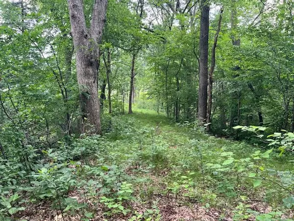 Perham Twp, MN 56573,Lot 16 Turtle Bay Lane