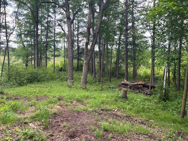 Perham Twp, MN 56573,Lot 16 Turtle Bay Lane