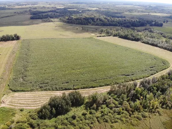 Bartlett Twp, MN 56481,TBD County 77