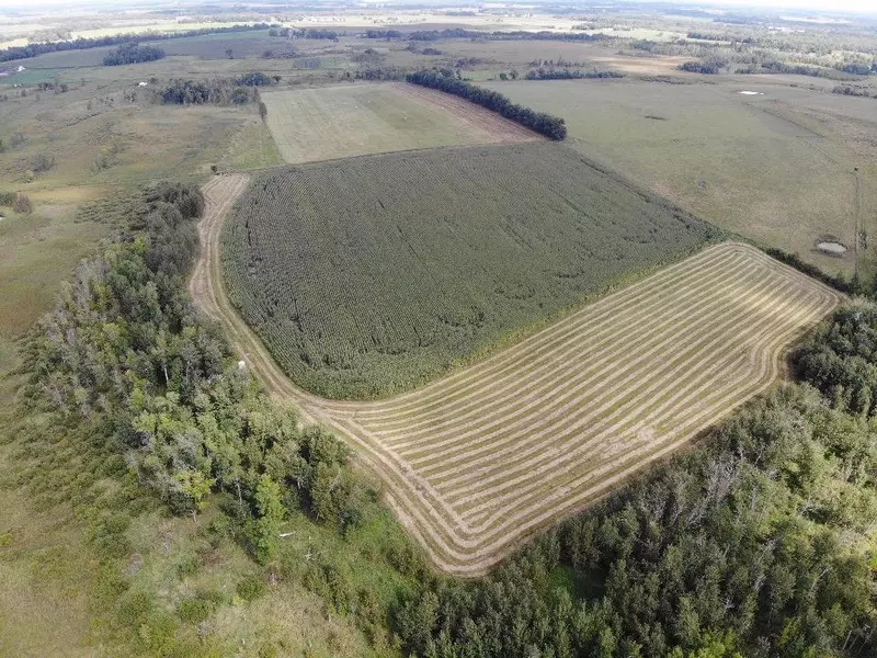 TBD County 77, Bartlett Twp, MN 56481