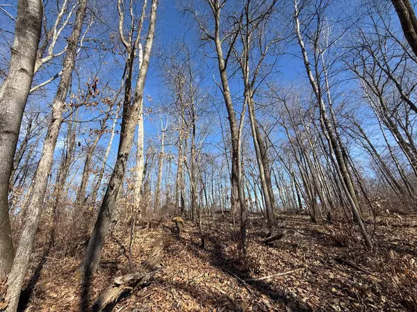 Cushing, MN 56475,TBD Marble Drive