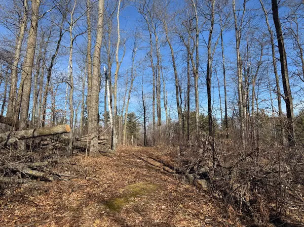 TBD Marble Drive, Cushing, MN 56475