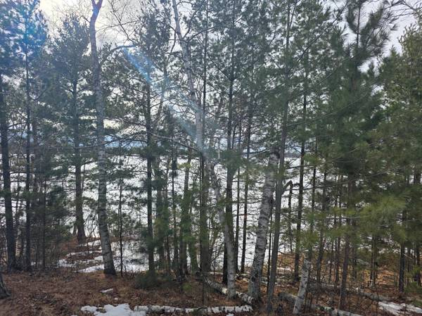 TBD Andrusia RD SE #Lot 7, Block 1, Cass Lake, MN 56633