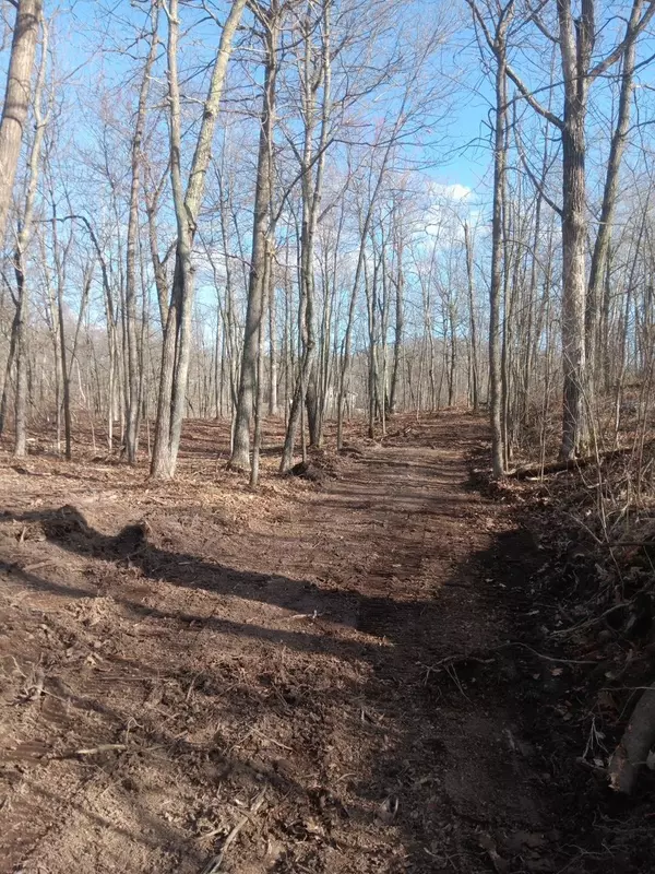 Garrison Twp, MN 56450,TBD County Road 138