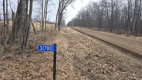 Lakeside Twp, MN 56342,31780 170th ST