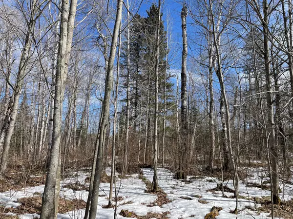 Biwabik, MN 55708,6562 Voyageurs TRL