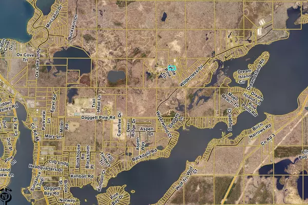 Crosslake, MN 56442,L4B1 Shady LN