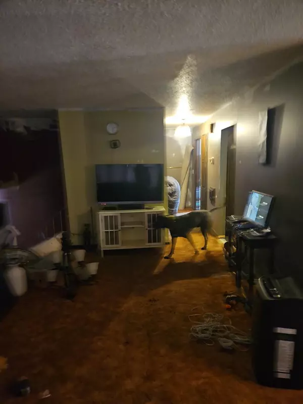 Nowthen, MN 55303,6653 190th LN NW