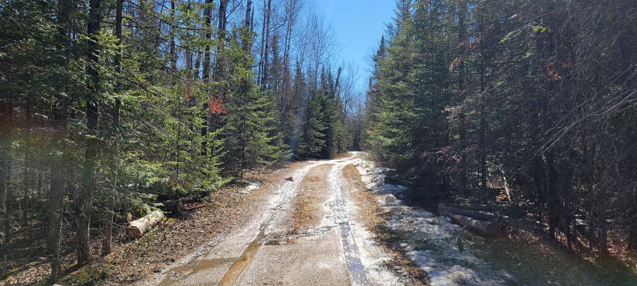 Marcell, MN 56657,TBD W Northstar Lake Rd