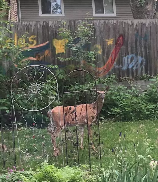 Burnsville, MN 55306,101 Oak Shore DR