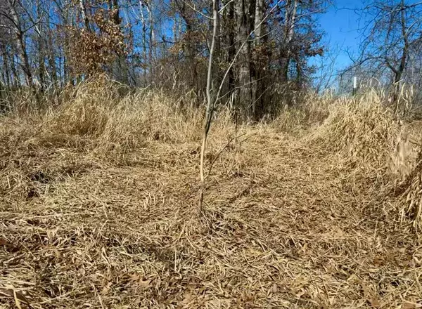 Menahga, MN 56477,19146 320th ST