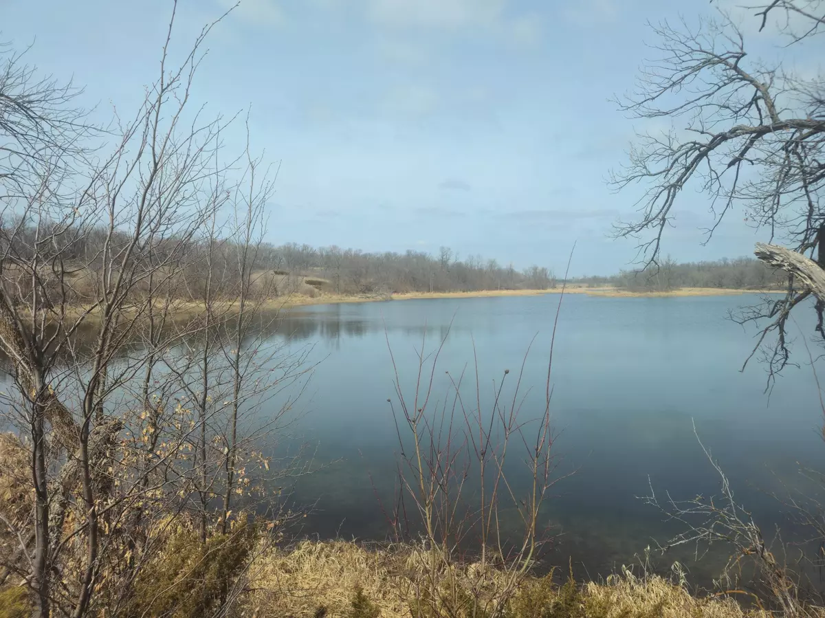 Vergas, MN 56587,xxx Sybil Lake RD