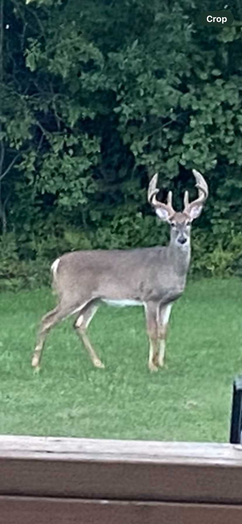 Windemere Twp, MN 55783,42xxx Pioneer Road