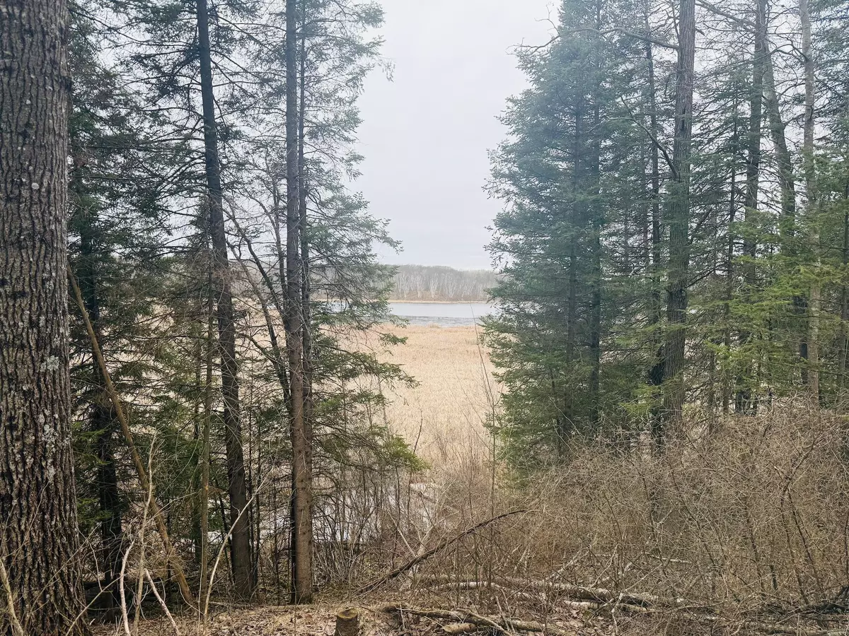 Peace Twp, MN 55007,28393 Sunrise CIR