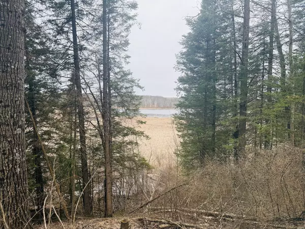 28393 Sunrise CIR, Peace Twp, MN 55007