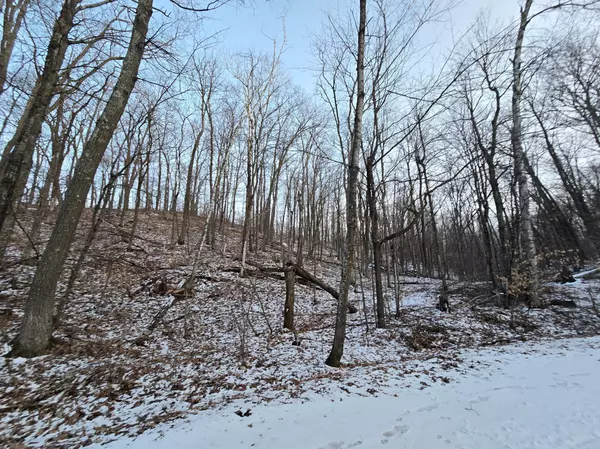 Garrison, MN 56450,Lot25Blk1 Westward Ho