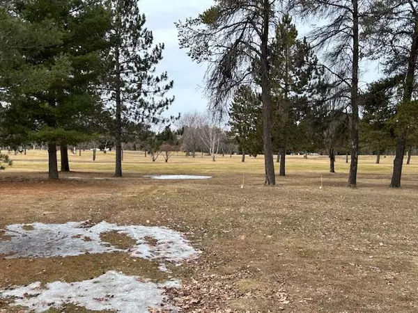 Greenway Twp, MN 55775,31273 Filmore ST