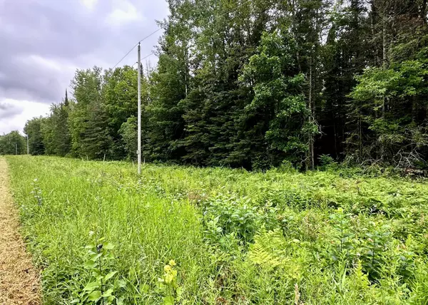 TBD County Road 34, Squaw Lake, MN 56681
