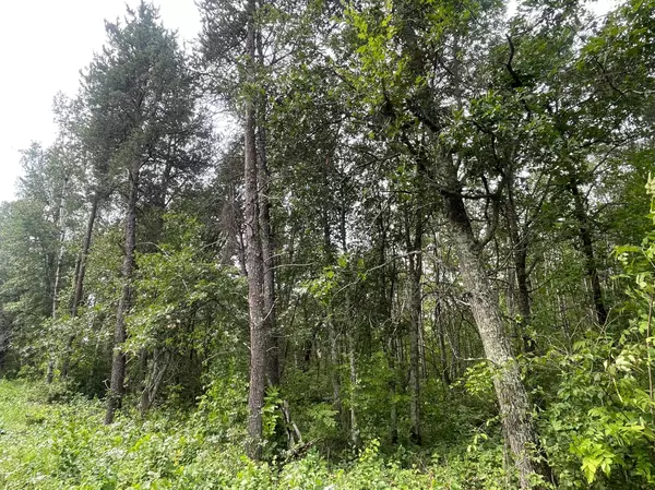 Pequot Lakes, MN 56472,Lot 1 Patriot Ave