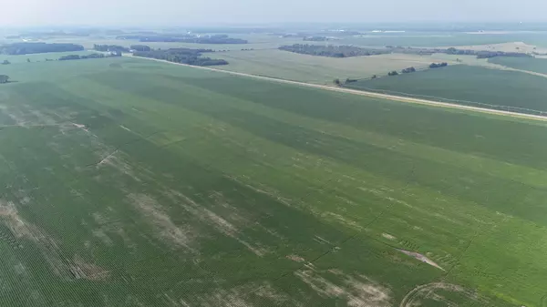 Browerville, MN 56438,TBD County 61