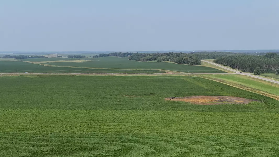 0000 County 61, Browerville, MN 56438