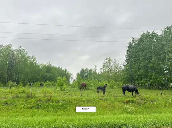 Wadena, MN 56482,XXXX 440th ST