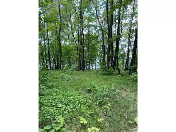 Osage, MN 56570,TBD IDAS ROAD