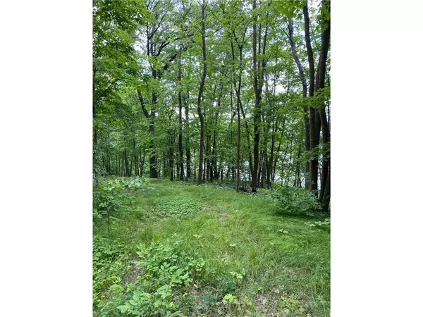 Osage, MN 56570,TBD IDAS ROAD