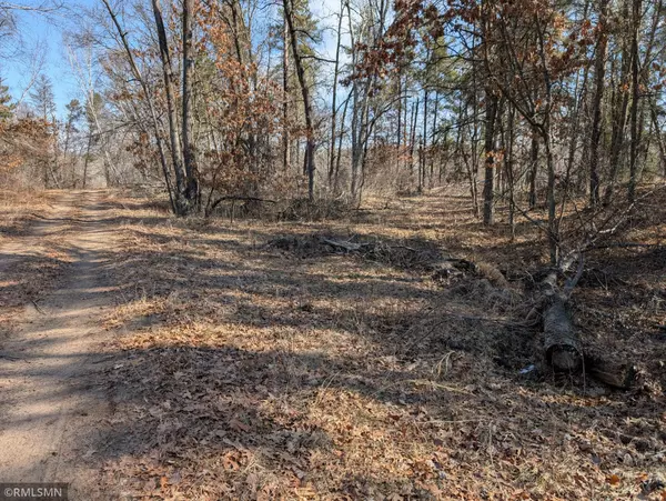 Breezy Point, MN 56472,TBD Peony Lane