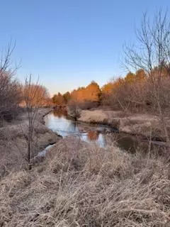 Stewartville, MN 55976,xx16 County Road 3