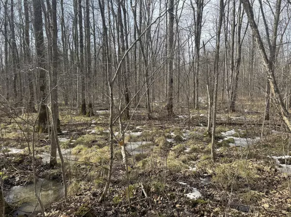 Lawrence Twp, WI 54766,X State Road 73