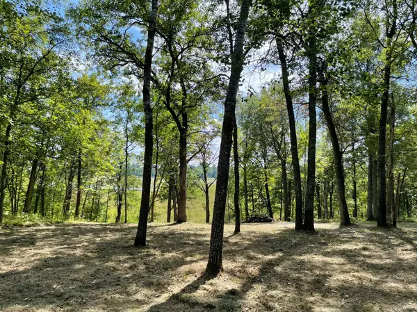 Walker, MN 56484,TBD Wedgewood RD NW