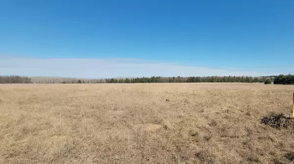 Motley, MN 56466,10548 92nd AVE SW