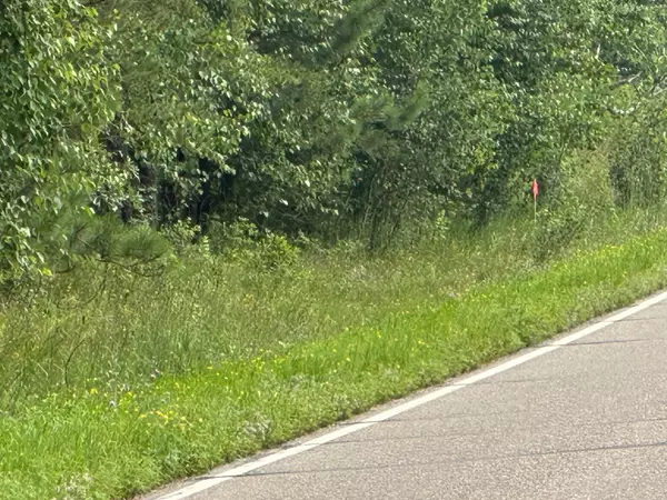 Nevis Twp, MN 56467,Lot 5 Acre 239th AVE