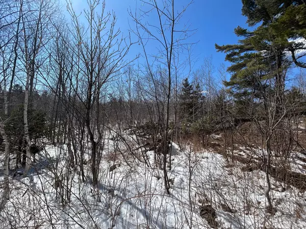 Beaver Bay, MN 55601,4375 Wood Ridge DR