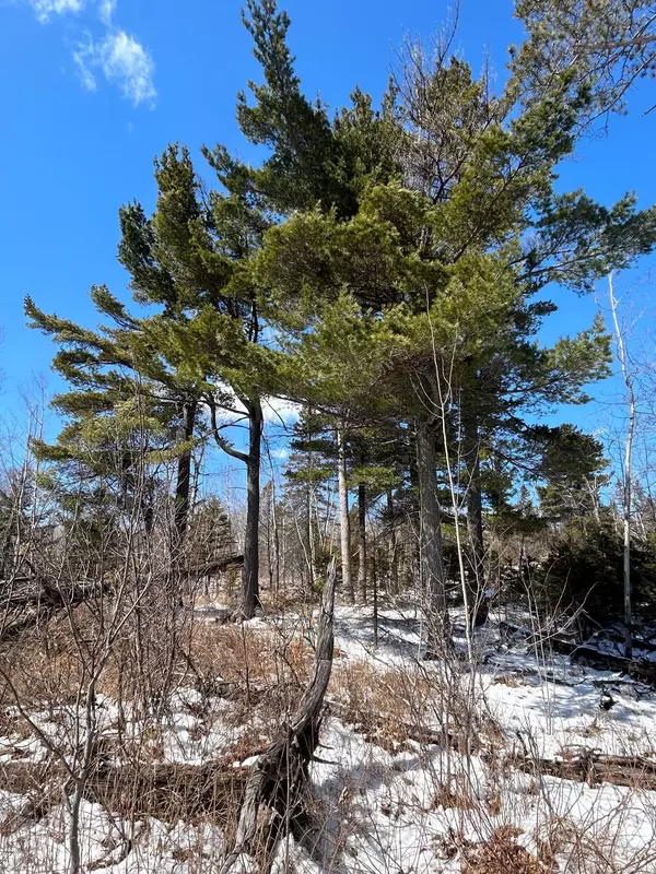 Beaver Bay, MN 55601,4375 Wood Ridge DR