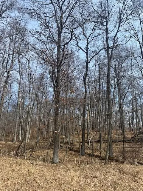TBD Delaware TRL, Breezy Point, MN 56472